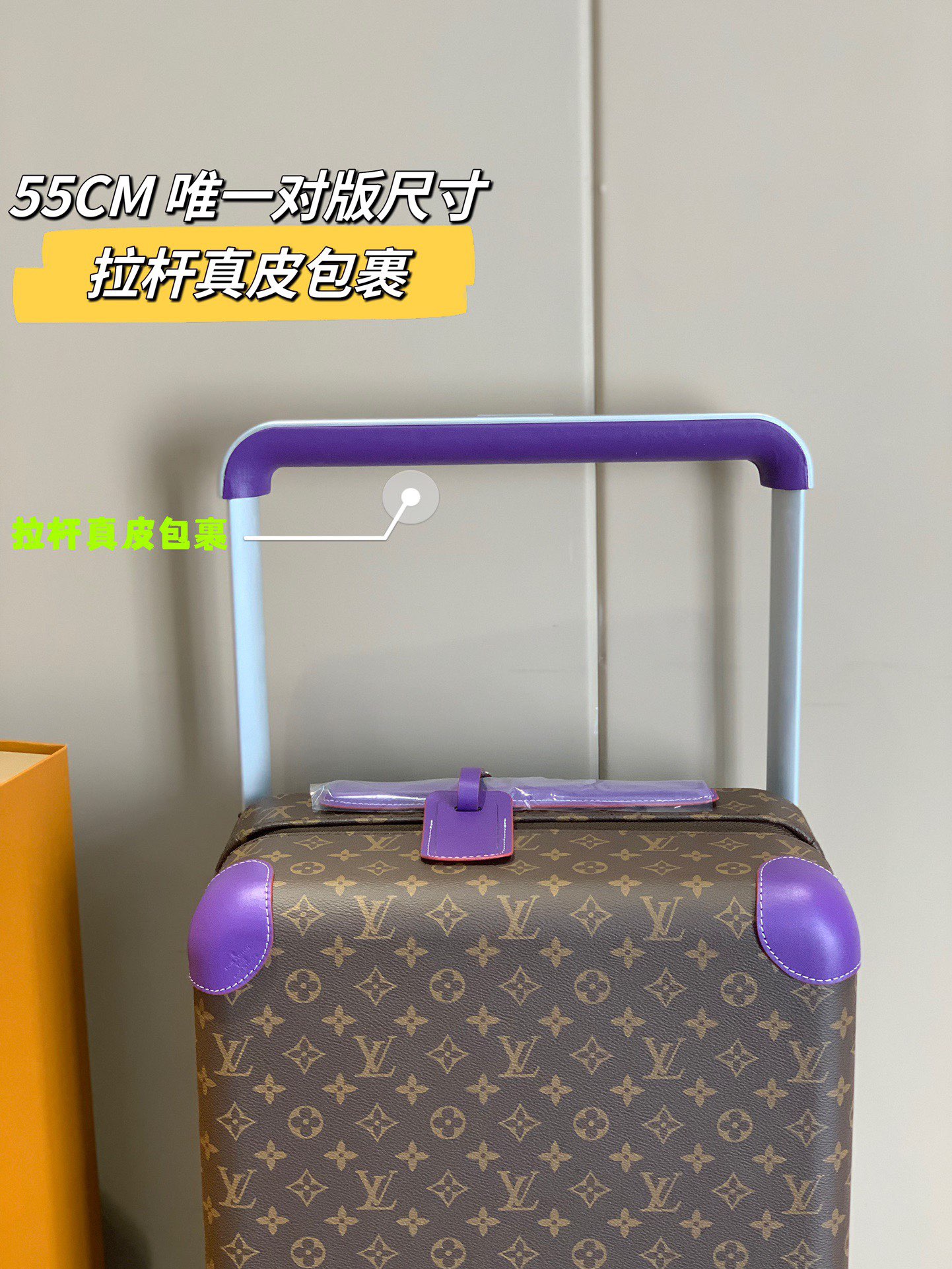 LV Suitcase